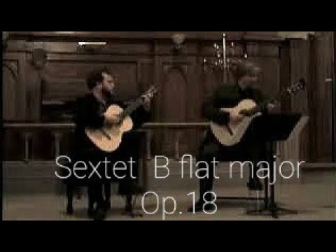 David Franzen Andrew Zohn Brahms Sextet  B flat major Op.18