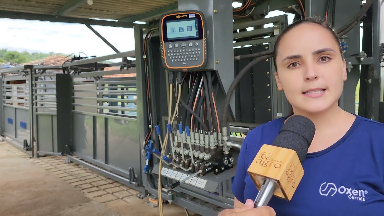 FAZENDA CONCEITO: 2,5 UA's/ha - automatizada - racional - lucrativa