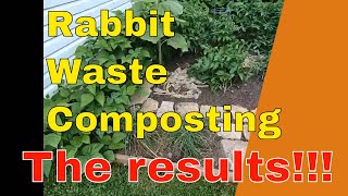 Results of composting rabbit waste in the garden