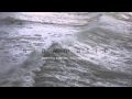 Steaming Satellites - How Dare You! 