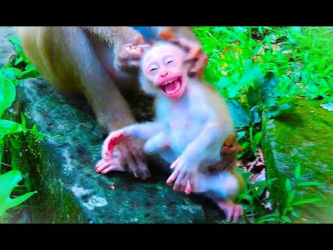 S-ad Facial Of Baby LEO Was C-rying L0udly For Mom St0p !!Mom's Behavior Is Making Baby LEO H-ardly