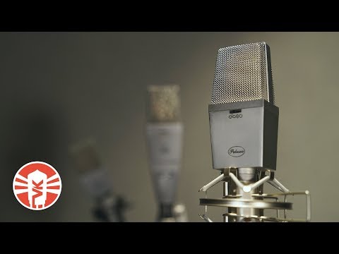 Peluso Microphone Lab P-414 Multi-Pattern Condenser Microphone Inspried by C414 image 15