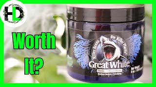 My Secret to HUGE Roots: Great White!