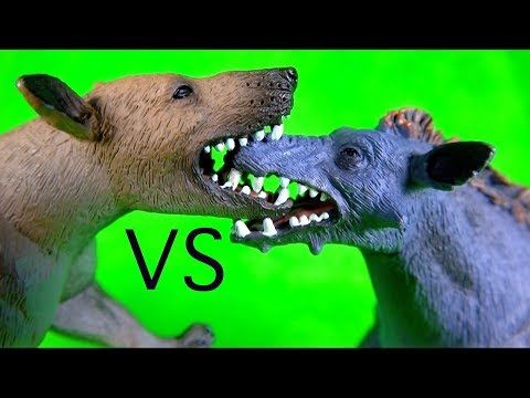 FIGHT BATTLE Entelodont Daeodon VS Hyaenodon Gigas REMATCH PREHISTORIC ANIMALS Who will win?