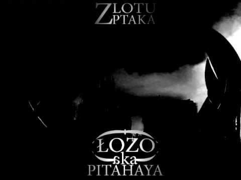 08. Zametkowani (feat. Mazi) [prod. Udar, cuty DJ Papa Kościej]