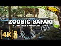 Full Tour At ZOOBIC SAFARI The ONLY Tiger Safari In The Philippines Subic Bay Freeport Zone