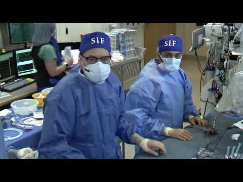 Image Guided Left Main Interventions with and without MCS