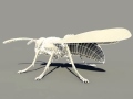 3D Model of Wasp 