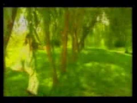 uzbeki song by Sevinch