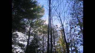 THE PRIESTS - The Lord&#39;s Prayer