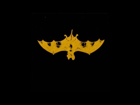 [FREE] WOEE33 x KAI ANGEL x 9MICE TYPE BEAT - BAT (prod. by lapki17 & sil3nth)