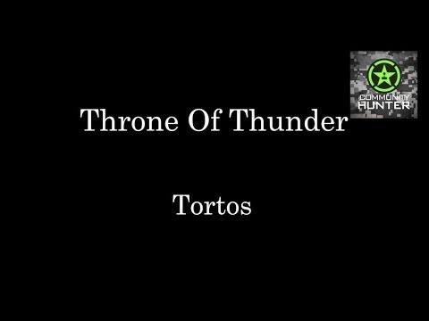 WoW Raid Briefings - Tortos