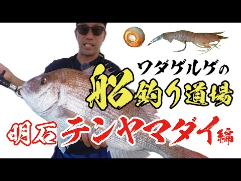 【テンヤマダイ】明石で大流行中のベイトテンヤマダイ！利点は？スピニングとの違いは？和田さんが徹底解説！【船釣り道場】