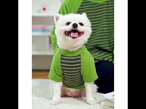 Кофта для собак «Параллель», коричневый, джемпер для собак, одежда для собак - фото 1 - id-p2929688744