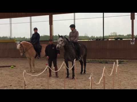Die Brücke -  Working Equitation Staraktion Pferd International München 2017