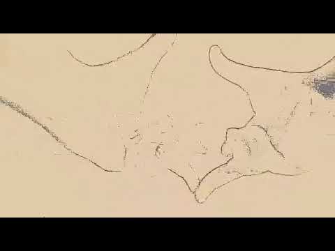 Tua voz me faz acreditar