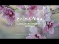 Матрац Bella 70x190