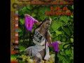 Lila Downs   -   Minimum Wage