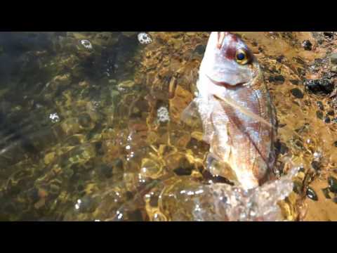 10 Νοεμβρίου 2016