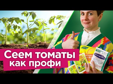ТЕПЕРЬ СЕЮ ТОМАТЫ ТОЛЬКО ТАК! 5 шагов для защиты томатов от болезней, улучшения вкуса и урожайности
