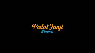 Download lagu PEDOT JANJI slowed mp3