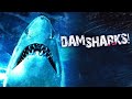 Dam Sharks 2016 Kill Count