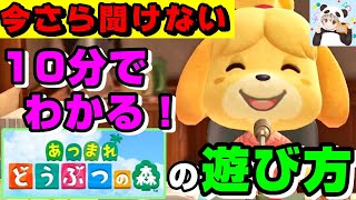 【ついに発売】10分で分かる！今さら聞けない「あつ森」の基本知識【あつまれ どうぶつの森】【任天堂公式サイト・どうぶつの森公式twitter・あつ森 Directの情報が全て分かる！】