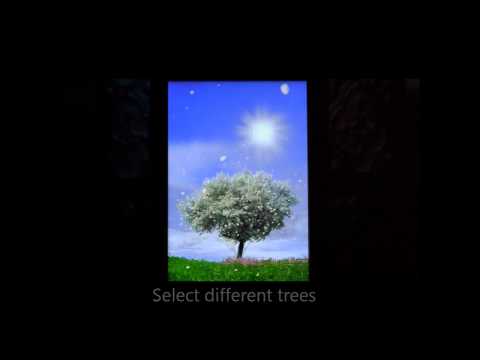 Spring Trees Free Video
