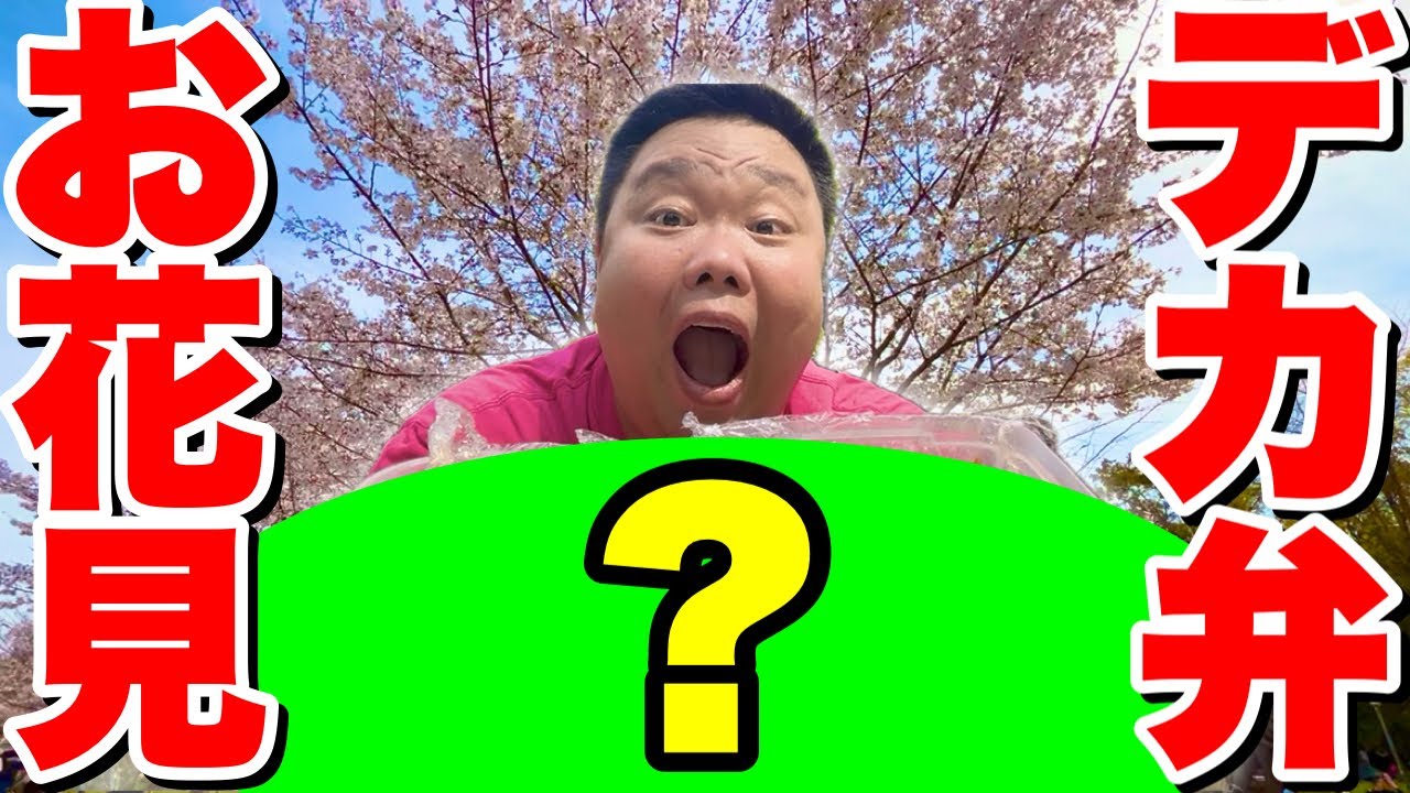 【大食い】140キロのデブが手作りのデカ盛り弁当を作ってお花見に行きました！
