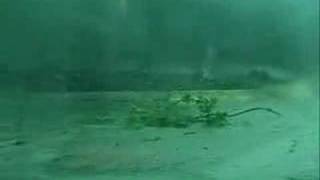 preview picture of video 'June 1, 2008 Severe Winds in Western Arkansas'