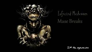 Infected Mushroom   Muse Breaks RMX