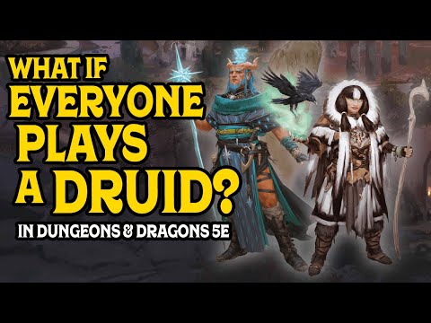 What if Everyone Plays a Druid in D&D 5e?