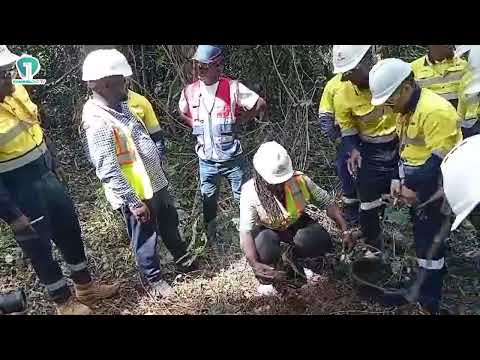EPA CEO Nana Ama Browne Plants Tree at Akyem Mine Restoration Project