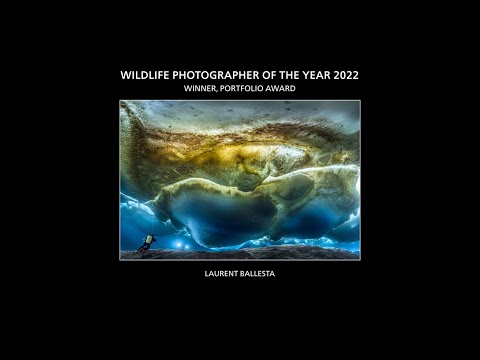 Laurent Ballesta - Wildlife Photographer of the Year 2022, Portfolio Award Winner