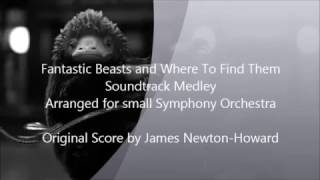 Fantastic Beasts and Where To Find Them Soundtrack Medley - Arranged for small Symphony Orchestra