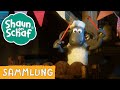 Shaun Das Schaf Die Kokosnuss Neue Folgen 2024 1 Std