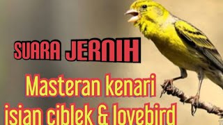 Download lagu SUARA JERNIH MASTERAN KENARI || ISIAN CIBLEK & LOVEBIRD mp3 Download lagu SUARA JERNIH MASTERAN KENARI || ISIAN CIBLEK & LOVEBIRD mp3