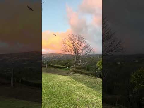 🌿Terreno Exclusivo en Venta con Vistas Espectaculares, Santa Barbara de Heredia, Costa Rica.