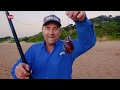 In Pursuit Of A Giant Tips For Catching Giant Sandshark