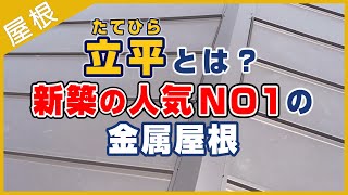 立平の動画についてこちら