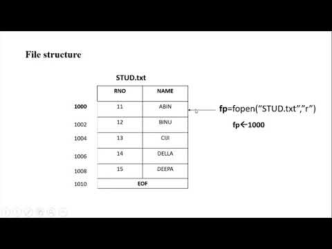 B Tech S2 C programming cursor moving funs
