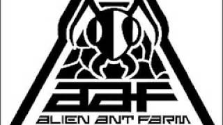 Alien Ant Farm: Crickets