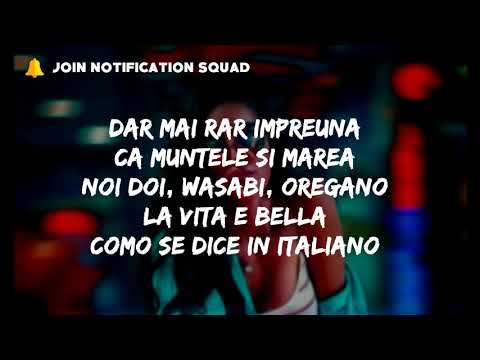 Nosfe ft. Ruby - Condimente (Lyrics)