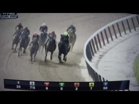BELMOUNT SPRINT CHAMPIONSHIP (G 2)$350,000  STAKES  2017 -MIND YOUR BISCUITS !!!