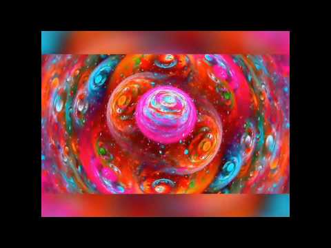 Amp Swamp favorite's