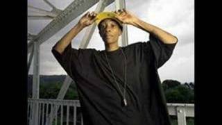 Wiz Khalifa- Damn Thing