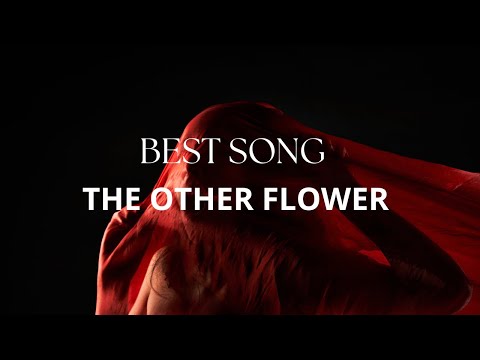 ISHAQ NST - THE OTHER FLOWER
