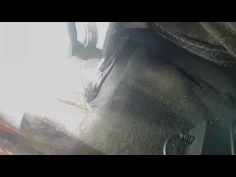 Bed Bugs Resting in the Couch in Colonia, NJ