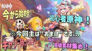 【初見歓迎】 新キャラの素材を集めます！えっ？主のキャラじゃないよ？【初心者原神生配信】