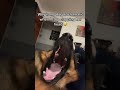 Dramatic German Shepherd Youtube Youtubeshorts Shorts